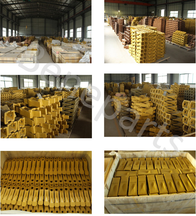 J200, Twin Tiger Long Bucket Teeth 1u3302wtl