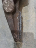 Bucket Tooth Tip 4RT Tungsten Powder Carbide